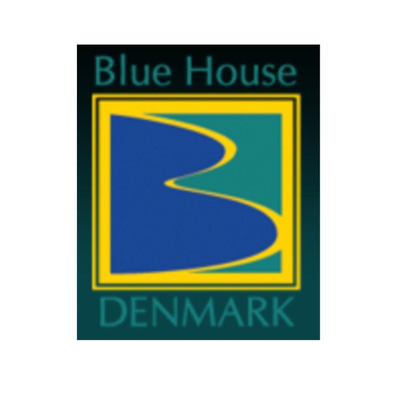 הוילה Blue House דנמארק מראה חיצוני תמונה